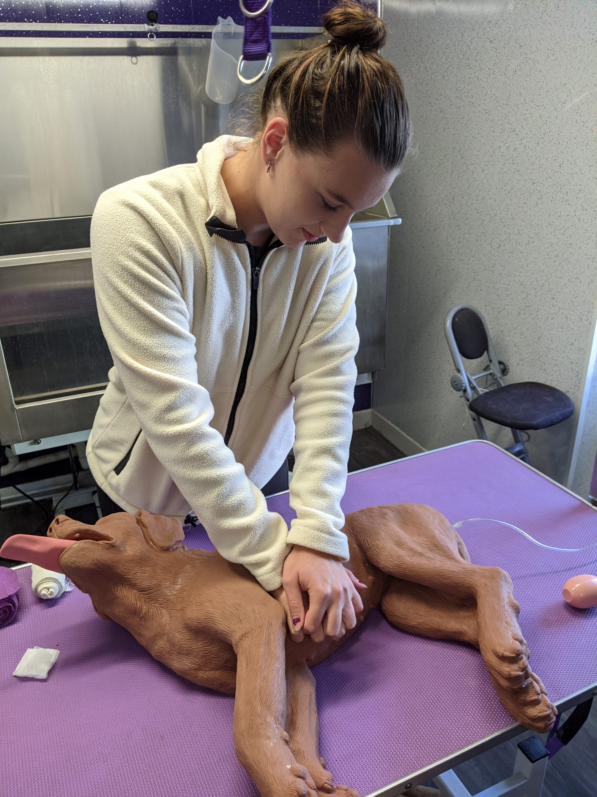 Canine First Aid training